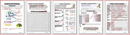 WISKUNDE STUDIEGIDS GR 4