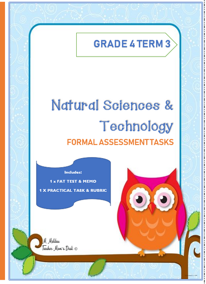 NS & TECH FAT GR 4 TERM 3