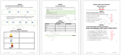 NS & TECH FAT GR 4 TERM 3