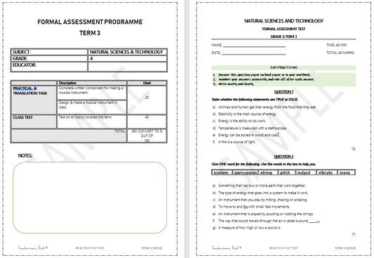 NS & TECH FAT GR 4 TERM 3