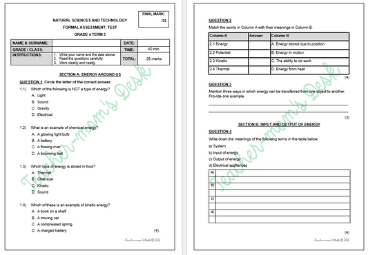 NATURAL SCIENCES & TECHNOLOGY FAT TASKS GR 4 TERM 3 2025
