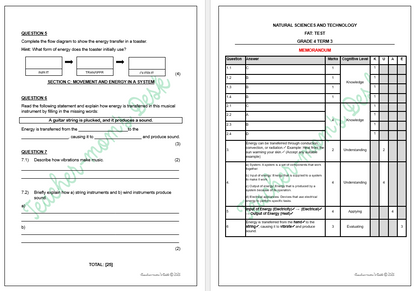 NATURAL SCIENCES & TECHNOLOGY FAT TASKS GR 4 TERM 3 2025