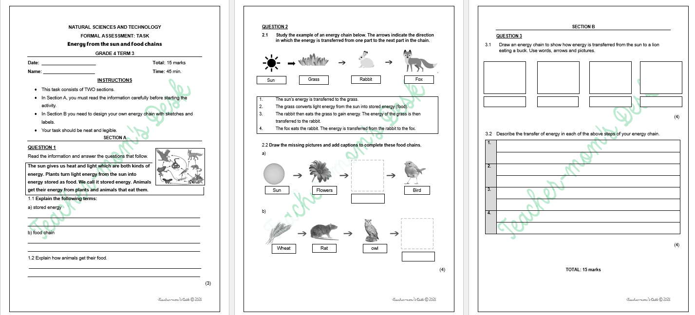 NATURAL SCIENCES & TECHNOLOGY FAT TASKS GR 4 TERM 3 2025