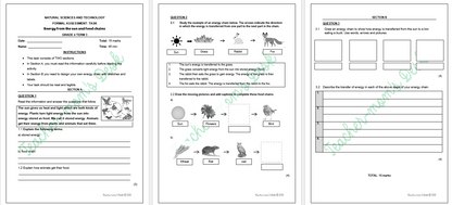 NATURAL SCIENCES & TECHNOLOGY FAT TASKS GR 4 TERM 3 2025
